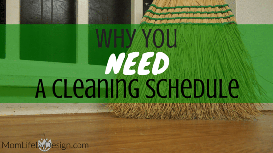 Do I Really Need a Daily Cleaning Schedule?